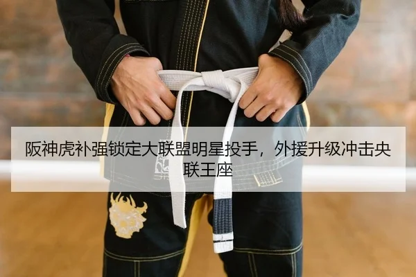 ban-shen-hu-bu-qiang-suo-ding-da-lian-meng-ming-xing-tou-shou-wai-yuan-sheng-ji-chong-ji-yang-lian-wang-zuo-2-492.jpg
